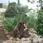 Rantzo Holiday Lägenhetshotell Pissouri