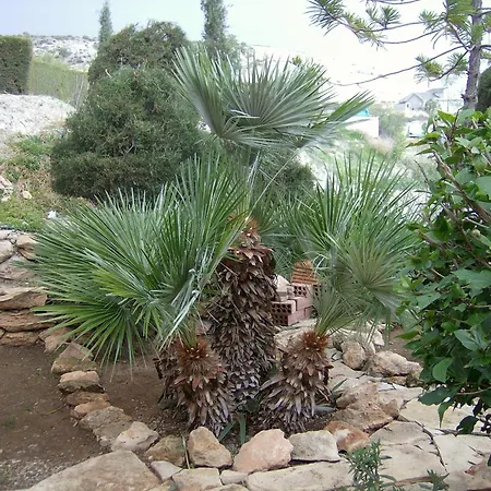 Rantzo Hotel de apartamente Pissouri