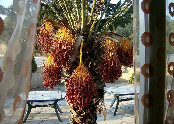 Rantzo 아파트호텔 4*